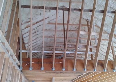 Professional Insulation Contractor